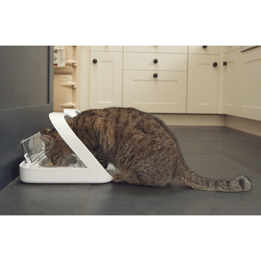 Read more about the article Test af foderautomat til kat – læs her hvilke eksperterne har anbefalet